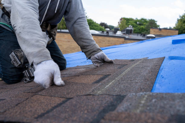 Best Residential Roof Replacement  in Brillion, WI