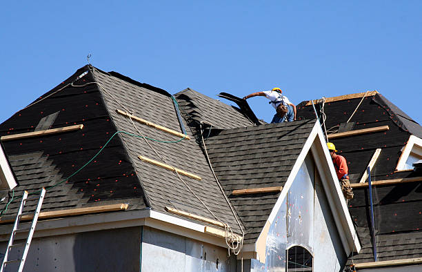 Best Shingle Roofing Installation  in Brillion, WI