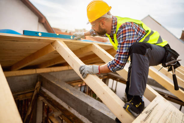 Best Roof Gutter Cleaning  in Brillion, WI