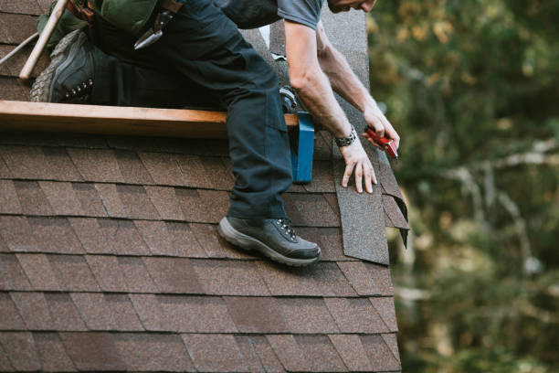 Best Residential Roofing Contractor  in Brillion, WI